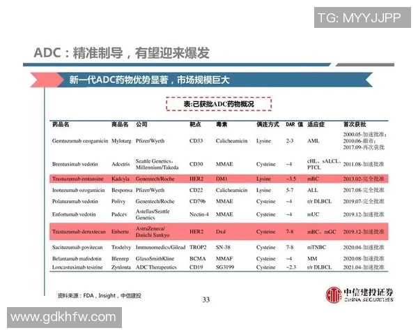深圳羽毛球队耐力之争引发热议球员训练方式与比赛表现的深度探讨