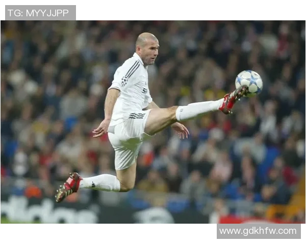 法国足球传奇人物全景回顾与老明星名单详解