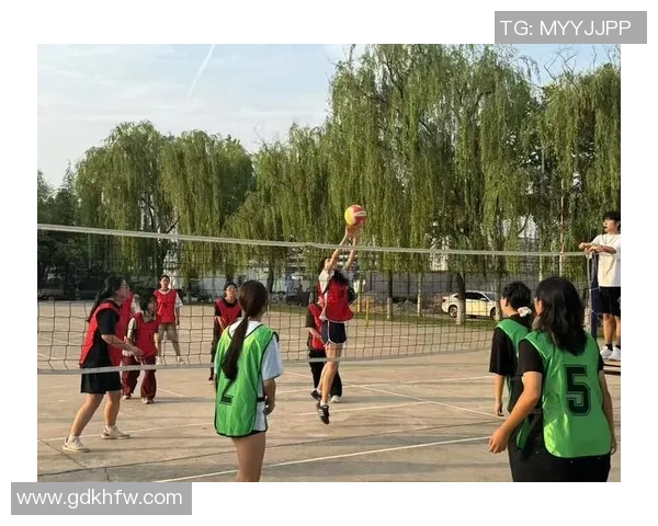 西安排球队的拼搏历程与荣耀瞬间全景纪实